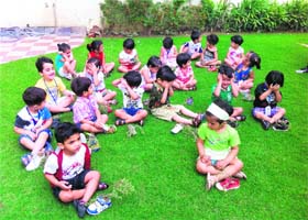 Children celebrate Vanmahotsav at Penguin Castle Preschool, Udham Singh Nagar, in Ludhiana