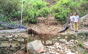 A view of the damage caused to the Rewalsar Mini Zoo by rainwater. 