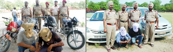 The accused belonging to two separate gangs in police custody with the vehicles recovered from them in Amritsar on Thursday. 