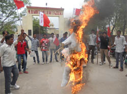 Student burns an effigy of the Punjab Government to protest against denial of admission in the Government College, Fazilka, on Friday. 