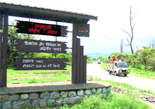 Kanwariyas in vehicles move through the Rajaji National Park area.