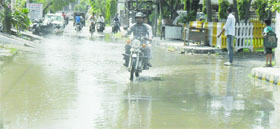 Inundated streets of Krishna Avenue in Amritsar on Saturday.
