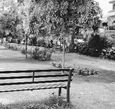 The site for the proposed community centre at Sector 2 in Panchkula. 