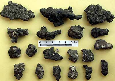 Phosphorite deposits from the eastern continental shelf of India.