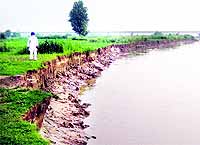 Seven spots prone to getting eroded by the Beas identified 