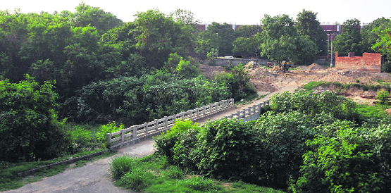 The land allocated for building the proposed stadiums at the Sports Complex, Sector 42, Chandigarh. Tribune photo: Vicky Gharu