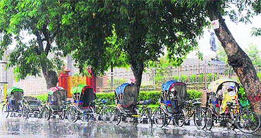 Rickshaw-pullers protect themselves from showers under trees in Karnal. 