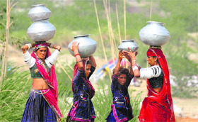 Women from Rajasthan carry water in their pots from a canal to their camps in Sonepat district. 