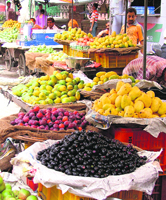 Various fruits available in market during monsoon.