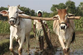 Land must be used efficiently  fertile land for cultivation and less productive for other activities