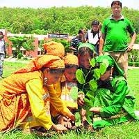 Students of Kendriya Vidyalaya, Raipur, plant saplings in Dehradun