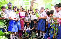 Students and teachers of GMT Public School plant saplings at the Salem Tabri park in Ludhiana on Friday