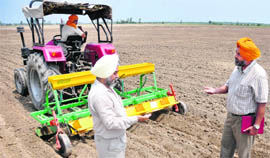 Maize being sown at BISA under the guidance of experts.  
