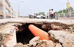 Gaping holes (above), made by rats, could be seen on the Multania overbridge in Bathinda on Saturday