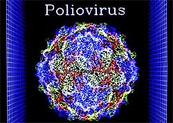India is expected to be declared polio-free by 2014