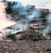 A picture shows the aftermath of a fire on the Kirkuk-Ceyhan pipeline on Saturday. 