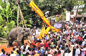 Elephant Karthikeyan being lifted with the help of a crane to be moved to a hospital in Kottayam