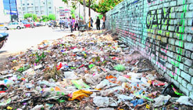 Medical waste being dumped on a roadside in Patiala.