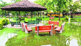 A water-logged park in Sector 48, Chandigarh.