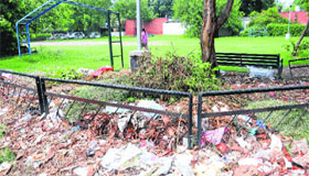 A heap of garbage at a park in Sector 19, Chandigarh.