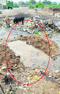 The ditch near the Orient Cinema at Bhai Randhir Singh Nagar in Ludhiana.