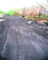A file photo of toxic fly ash on the bed of a drain near Jagdev kalan village in Amritsar
