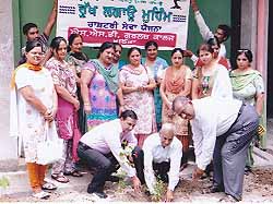 Plantation of sapling at SSD College on Thursday