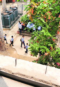 The railing that gave way when students were leaning against it to pluck fruit at Government High School, Sector 11, Chandigarh, on Friday.
