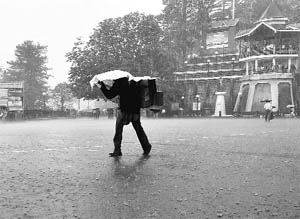 A labourer braves a heavy spell of rain in Shimla on Friday. 