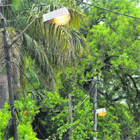 While J&K reels under a power crisis, streetlights have been left on by the power department during daytime on a busy road in Jammu.