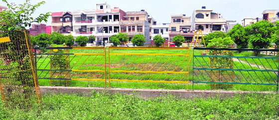 Wild growth all around mars the beauty of a park at Sector 78 in Mohali.
