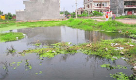 Sewage accumulated along a road in the sector.
