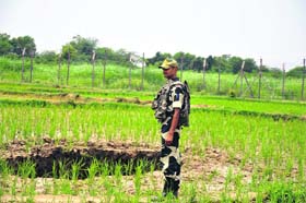 A BSF personnel stands guard at the tunnel near the Chalyari border outpost in Samba sector
