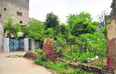 A vacant plot that has become a garbage dump in a locality in Ludhiana. 