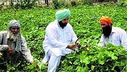 Jasbir Singh (centre) at his farm at Ghulal village near Samrala