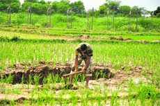  A BSF jawan at work near the Samba tunnel. 