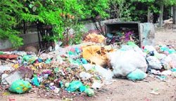 Garbage scattered at a street in Amritsar. Photo: Vishal Kumar
