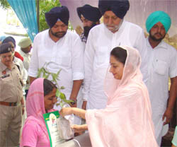 Harsimrat Kaur Badal at a sangat darshan programme in Muktsar district on Wedneday. 