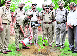 A police official plants a sapling on the PAP campus in Jalandhar