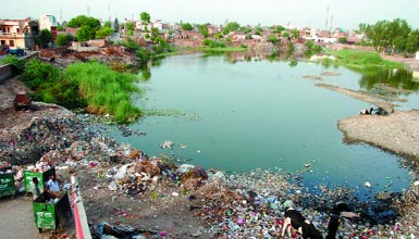 The pond at the rear of the DAV College had become a bone of contention between the college authorities and the Bathinda Improvement Trust. tribune photo: pawan sharma