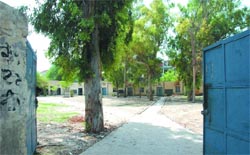 The Government Elementary School (above) will be shifted to the Government Girls Senior Secondary School located across the road. tribune photo: pawan sharma
