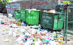 As the garbage collectors went on strike, trash cans in the city overflew with garbage. a tribune photograph