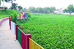 Ambala City park filled with plants