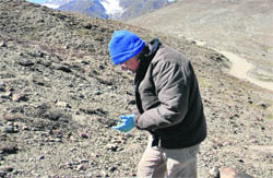 Dr Sanjay Kumar searches for the plant in the higher reaches of the Himalayas