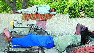 The sultry afternoon is the best time to catch forty winks as this rickshaw-puller and a visitor seem to indicate near the Government Rajindra College.