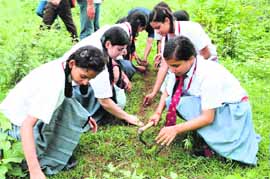 Students plant saplings during an eco tour of the Rajaji National Park organised by CMS Vatavaran on Friday.
