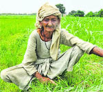 Shahni Devi works on her field in the Samba sector