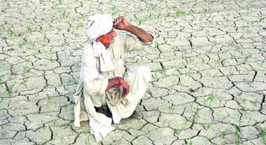 A farmer waits for the rains on his parched land at Madina village in Rohtak on Saturday.