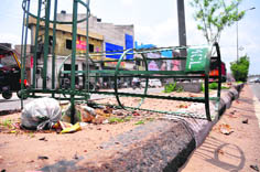 A dried up sapling in Ludhiana.