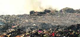 A view of a dumping ground in Mohali.